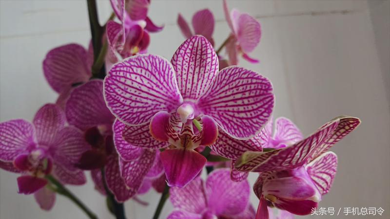 索尼微单5000与三星nx1000 (索尼5000万像素和三星5000万像素)