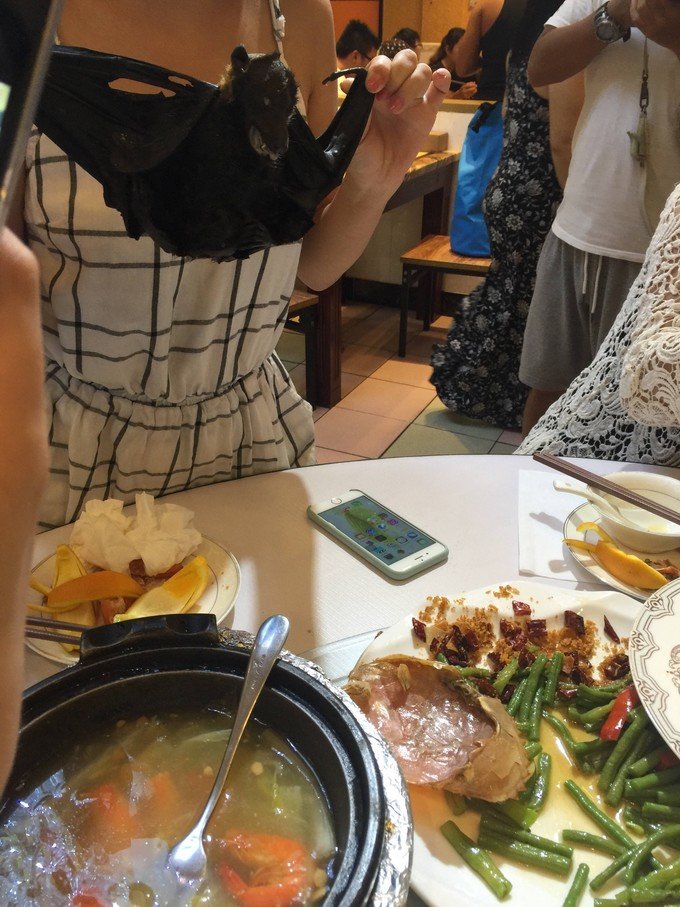 宝贝喜欢小金鱼,宝贝喜欢玩水