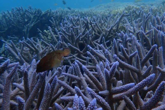 宝贝喜欢小金鱼,宝贝喜欢玩水