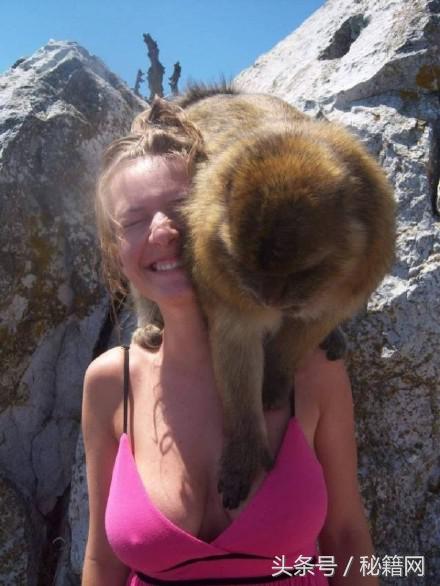 搞笑gif图姑娘你确定不是来搞笑的,搞笑gif图发现一只蠢萌的妹子