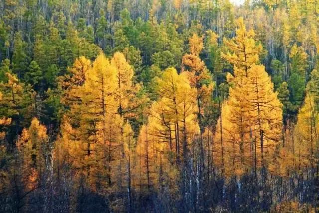 扫盲|不要因为这些困惑,阻挡了你尝试植物性饮食的马蹄