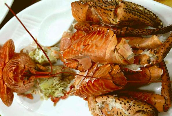 穷游住宿美食,帕劳住宿饮食