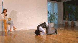 地表最大色情网站Pornhub竟用AI识别AV，鉴黄师要下岗了！