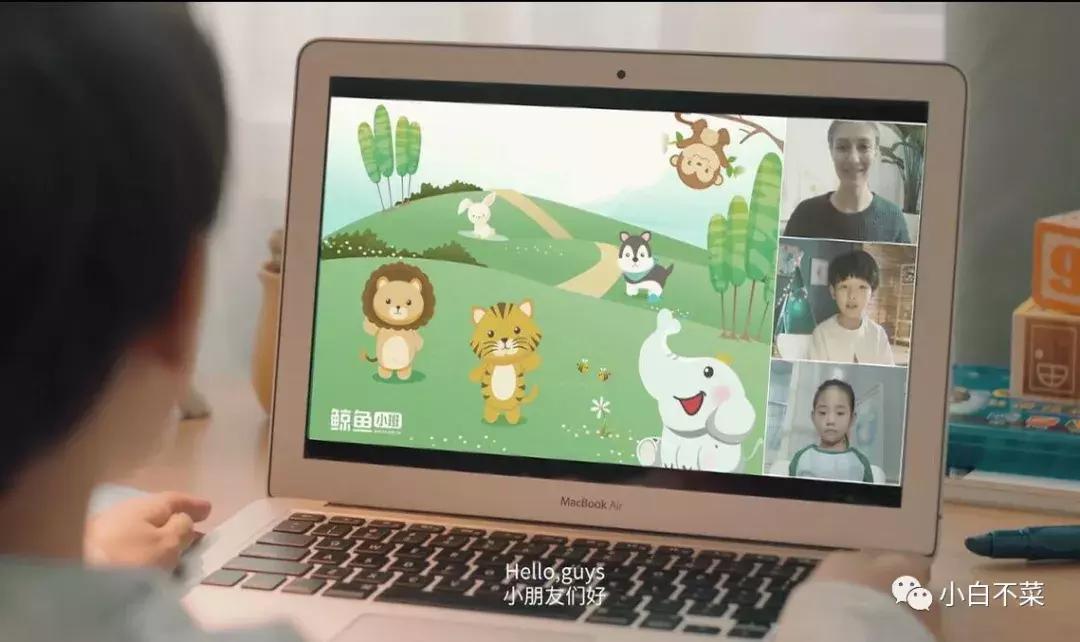 “柔持英语”更名“鲸鱼小班”——小班才是在线视频教育的出路！