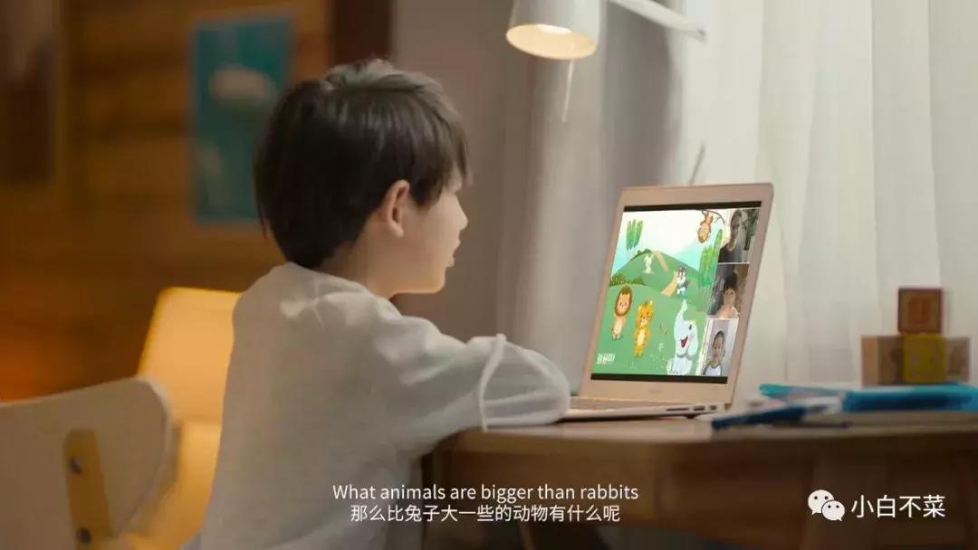 “柔持英语”更名“鲸鱼小班”——小班才是在线视频教育的出路！