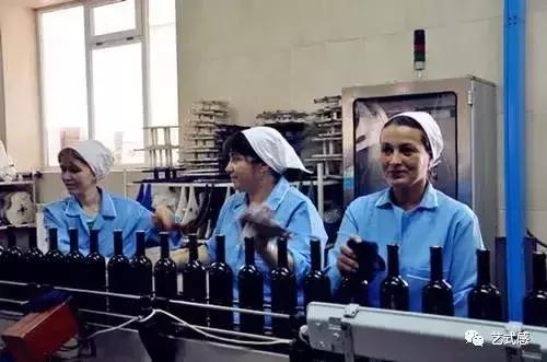 假澳洲奔富葡萄酒,你买的是不是假酒