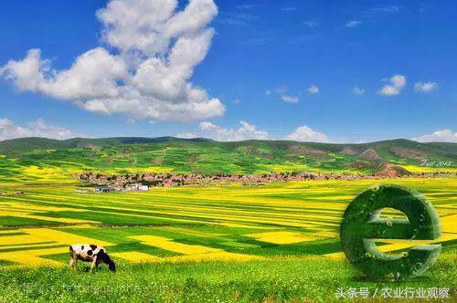 创业式商业模式,私家菜园盈利模式