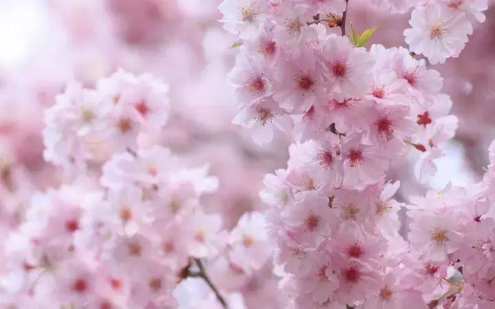 南昌梅岭一日游攻略老四坡,南昌梅岭一日游攻略冬天