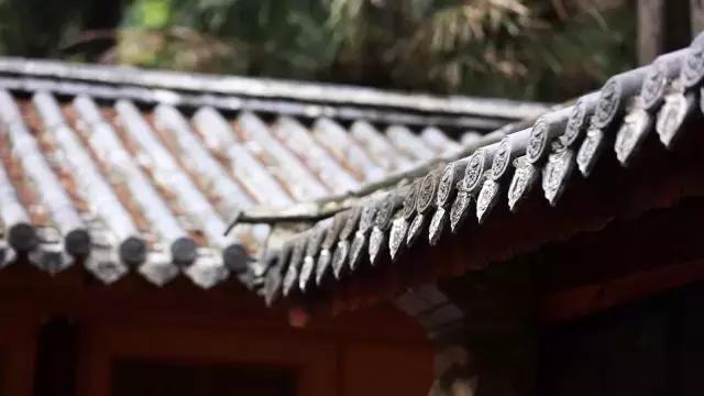 春来花自青秋至叶飘零原文解释,春来花自青秋至叶飘零出自哪里