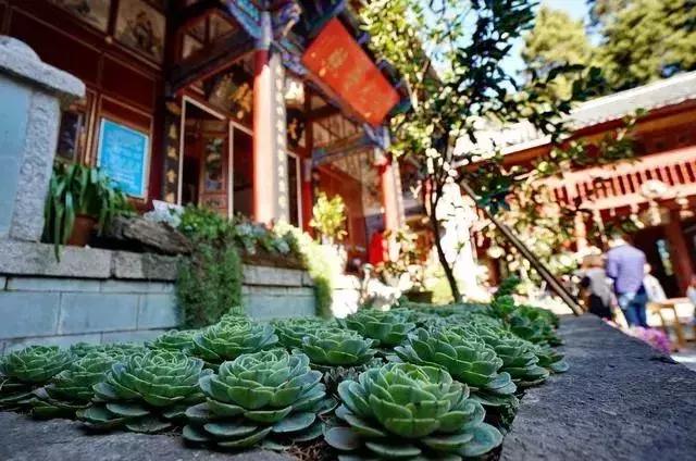 春来花自青秋至叶飘零原文解释,春来花自青秋至叶飘零出自哪里