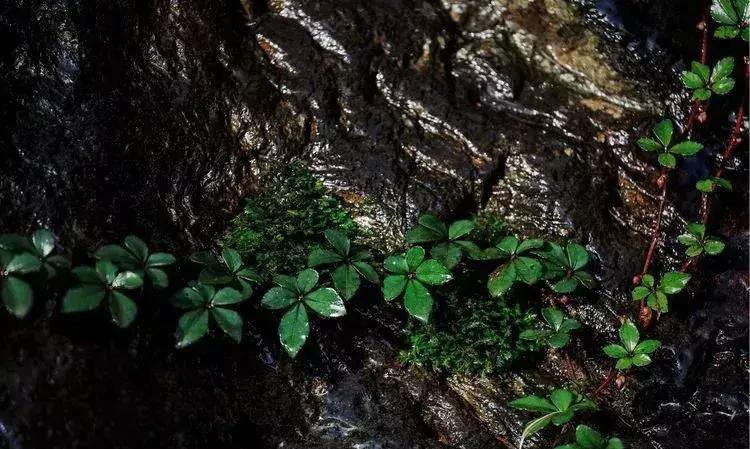 媲美九寨沟的碧湖潭，被誉为萍乡小三峡，是不可错过的世外仙境