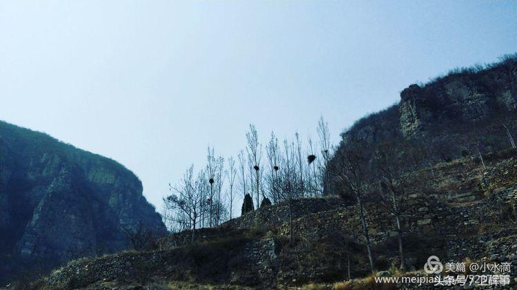 卫辉鲤鱼村道路两侧的千娇百媚……