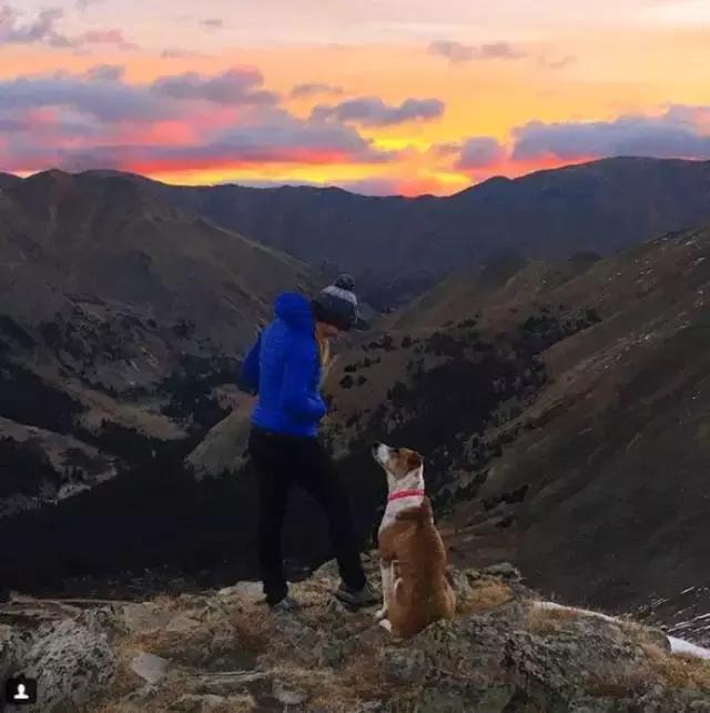 我有狗你有酒吗免费,我有狗你有酒吗