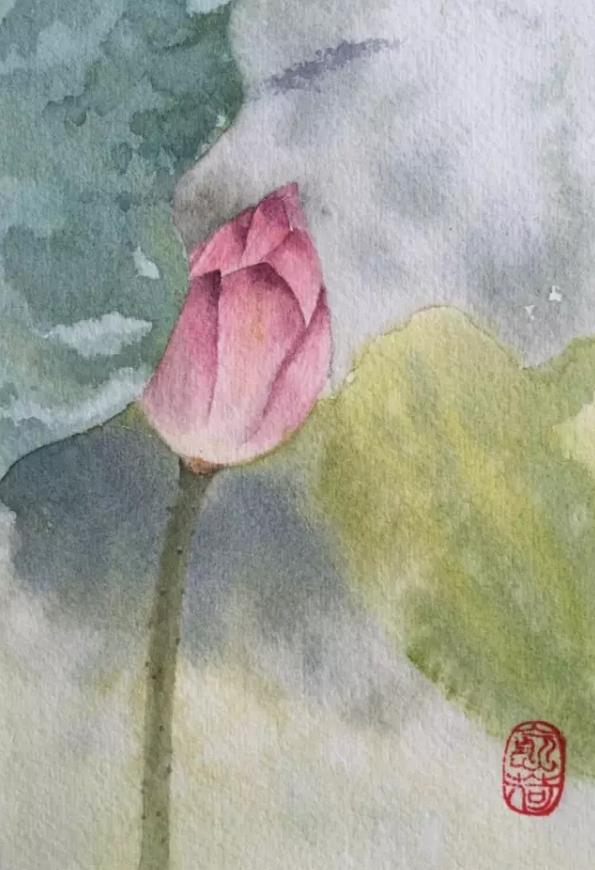 水彩夏天清新森系初学者荷花,水彩荷花画教程入门