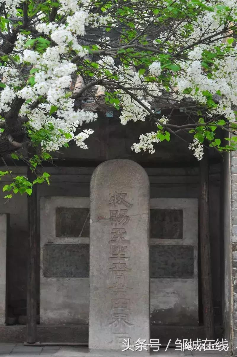 唯美中式风景,唯美花开美景图片