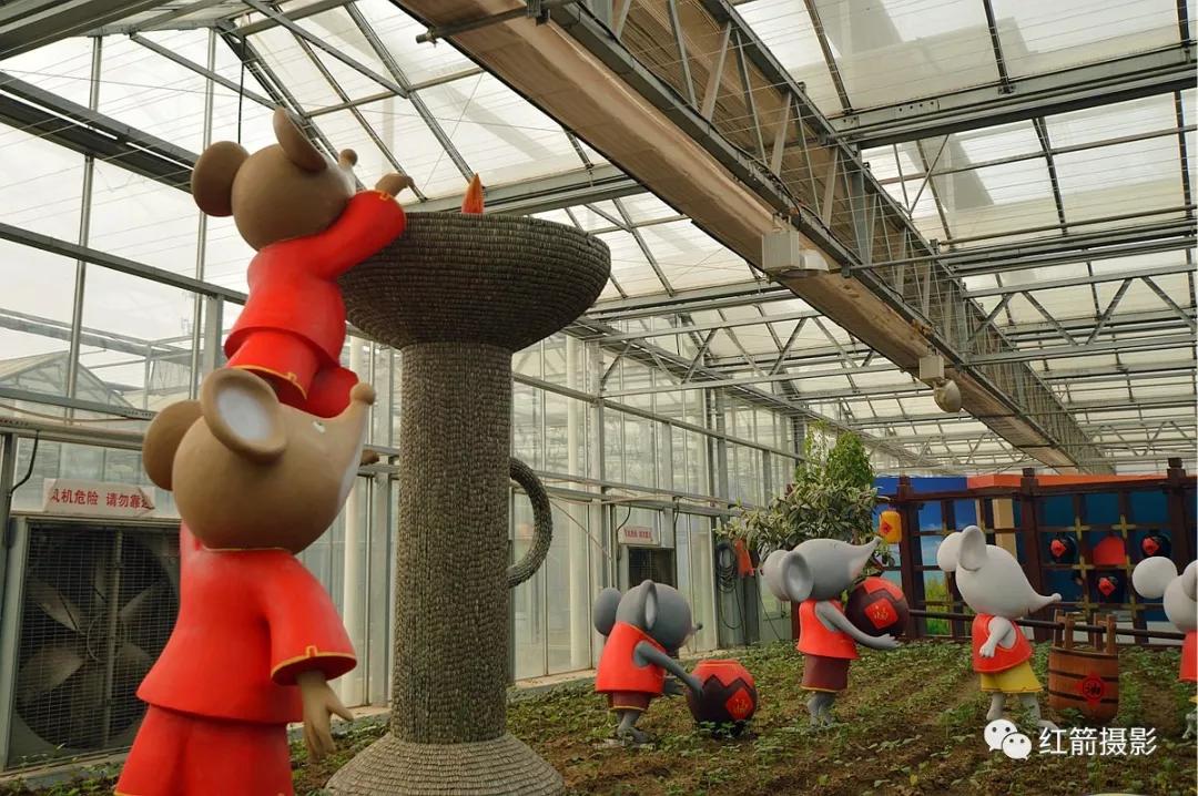 农业嘉年华北京,北京农业嘉年华延期