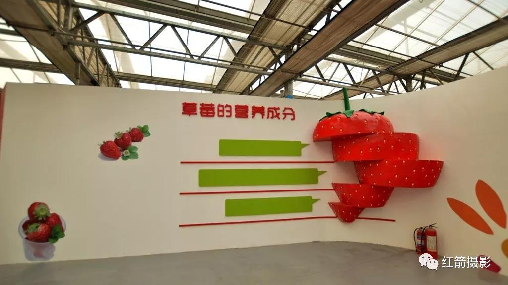 农业嘉年华北京,北京农业嘉年华延期