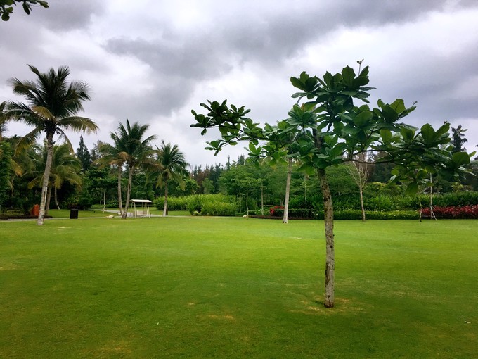 一路“王”下去----在三亚浪，把开会玩成度假！3