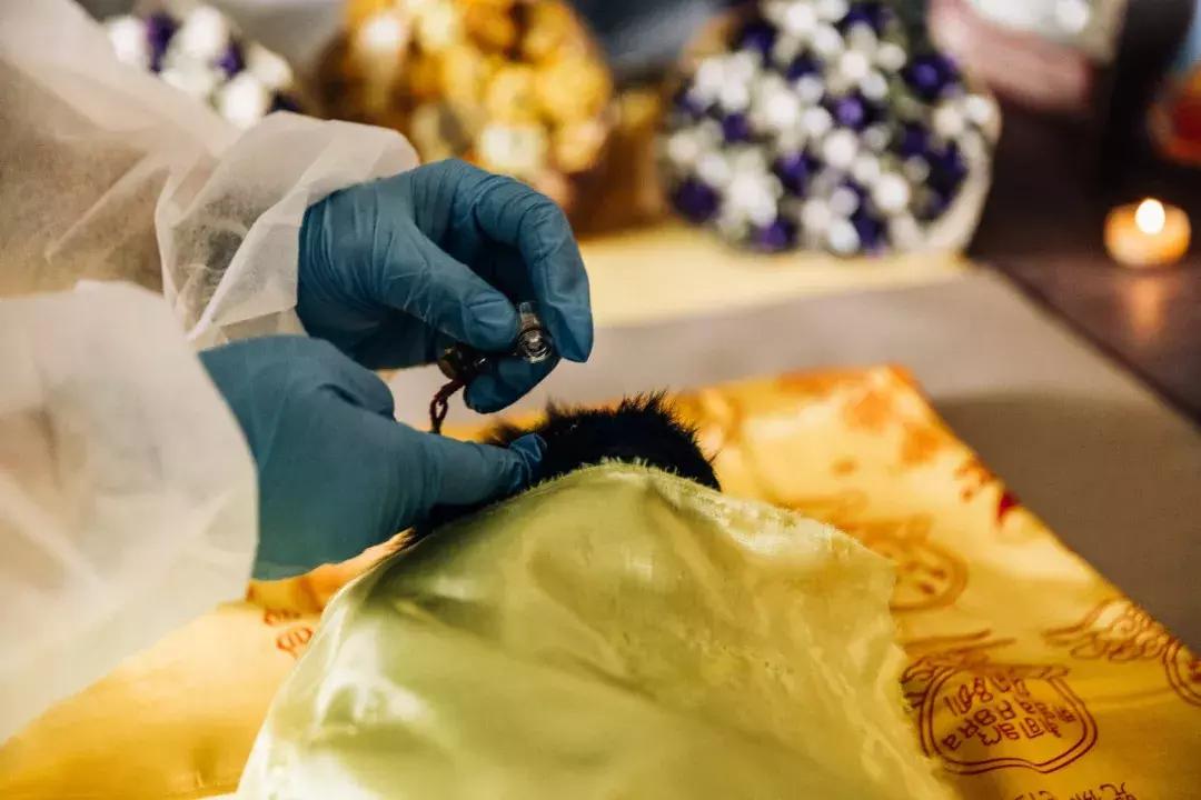 成都宠物殡葬师体验,宠物殡葬全过程家人哭了