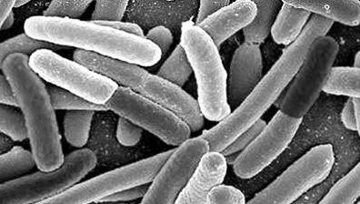 一男子感染超级淋病,英国男子患罕见怪病