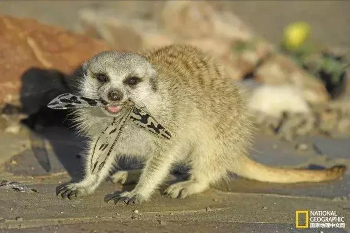 春天的小手儿热情呼唤，这14个好地方等你去浪！