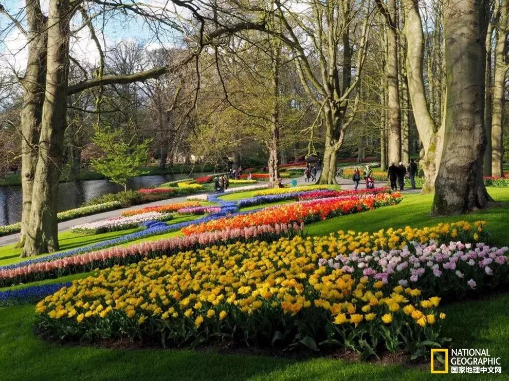 春天的小手儿热情呼唤，这14个好地方等你去浪！