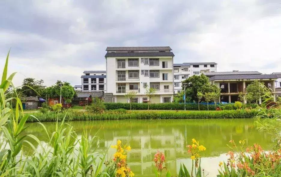 成都未来哪个片区发展规划最好,最新成都规划解读