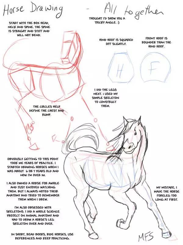 一分钟学会画一个狗,一分钟教你学会画马