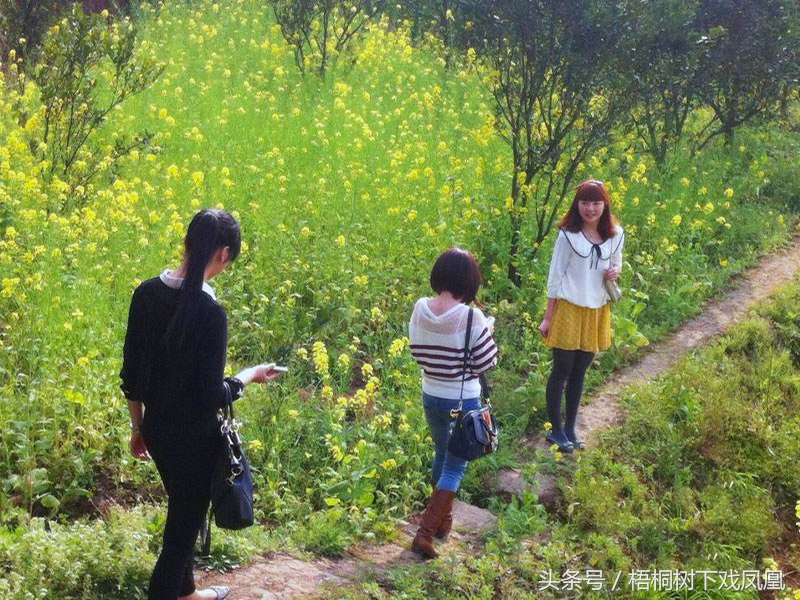 真会玩!古代青年男女春游时都玩啥,看到这画面有些脸红