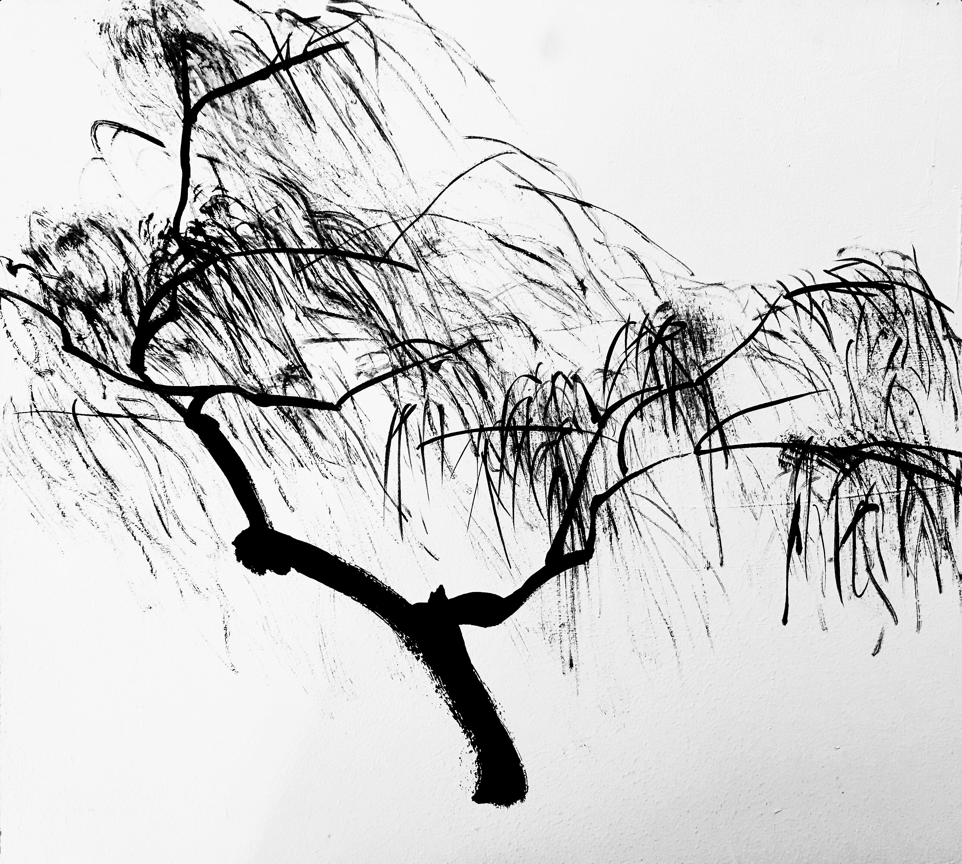 艺术家杨国辛作品,杨国辛油画作品欣赏