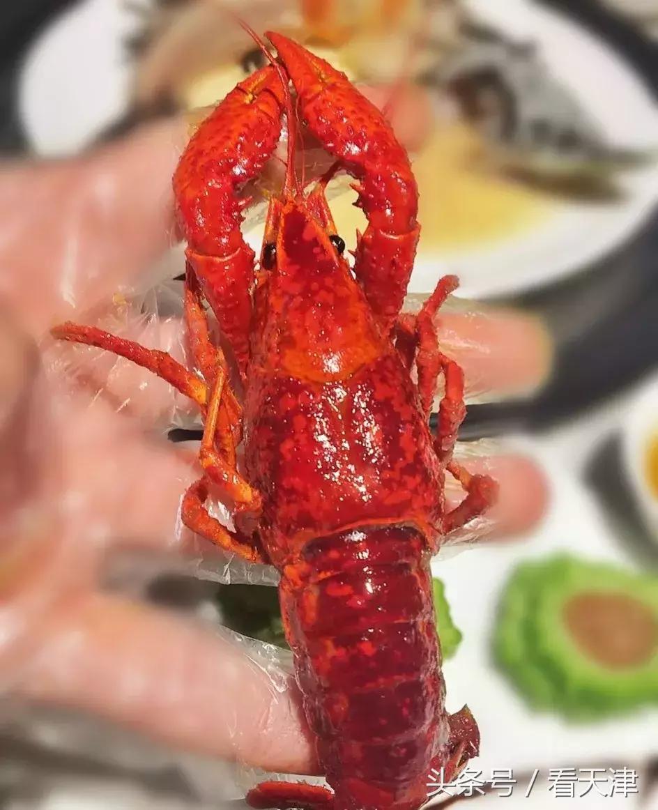 天津吃纯海鲜的最佳去处,天津必吃的海鲜