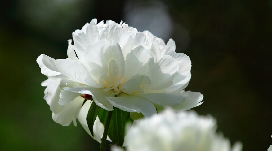 又到实习季，受“口臭”困扰的职场小白，可试试这个！