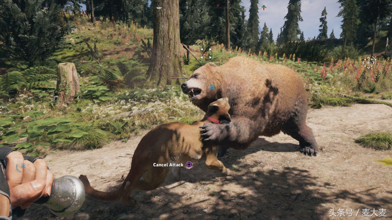 孤岛惊魂5ps4攻略第一季,孤岛惊魂5黄金版游戏解说