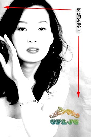 ps教程抠图半透明,photoshop抠图教程树枝抠图方法