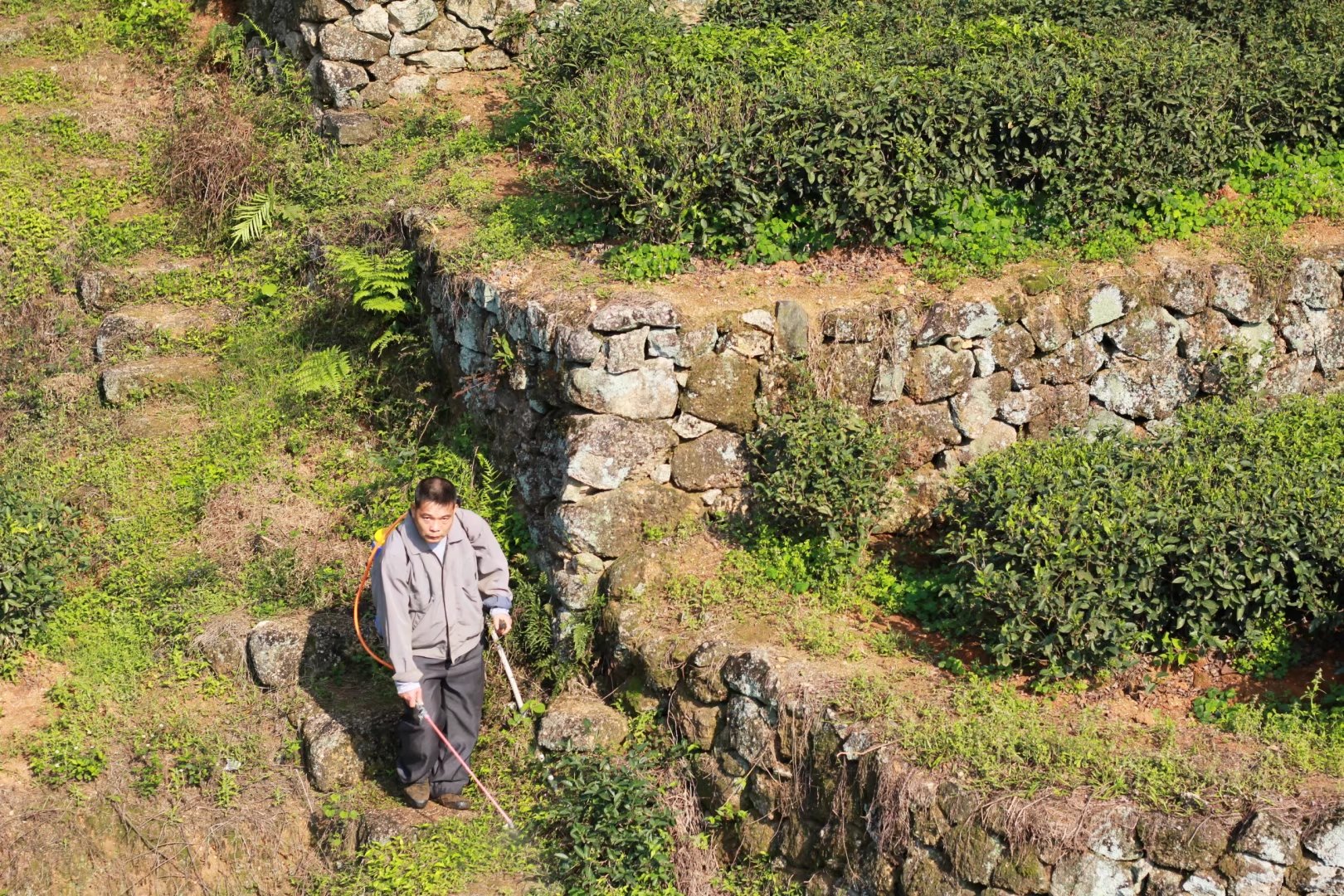 广西壮族自治区桂平西山一游,广西壮族三月三桂平西山游