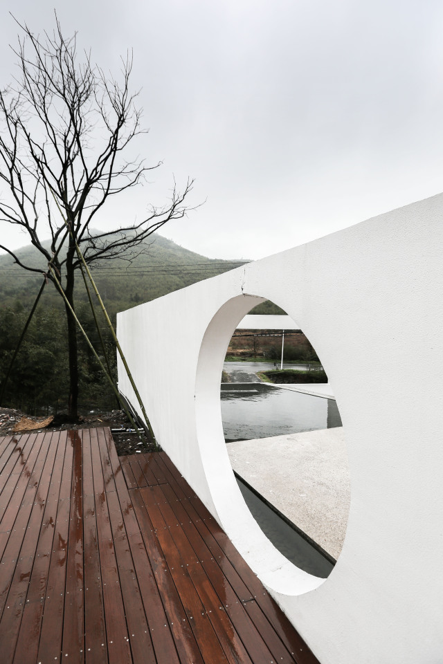 我的名字叫：鱼缸