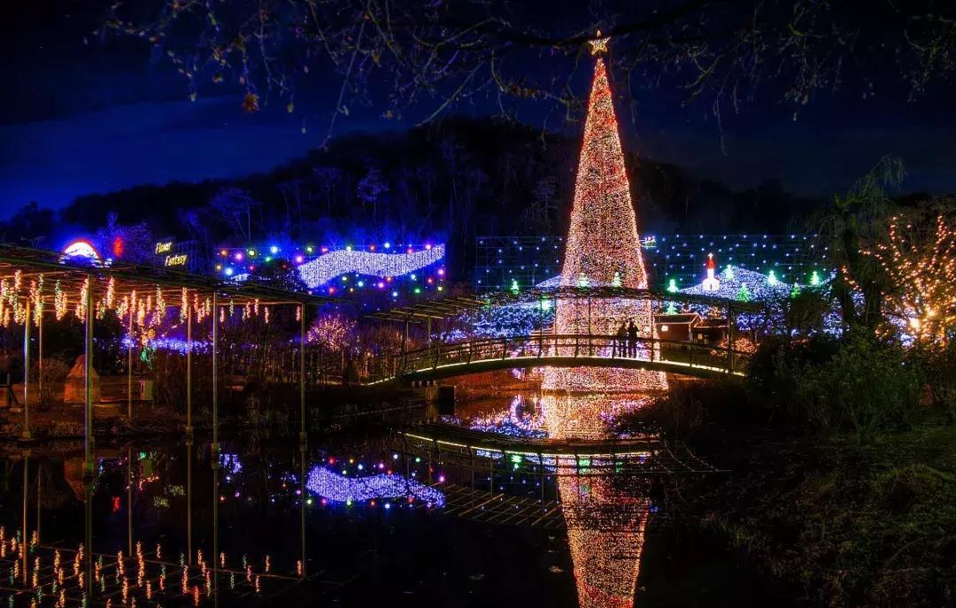 乐活旅行：错过了樱花，日本还有五处最美的紫藤花等着你！