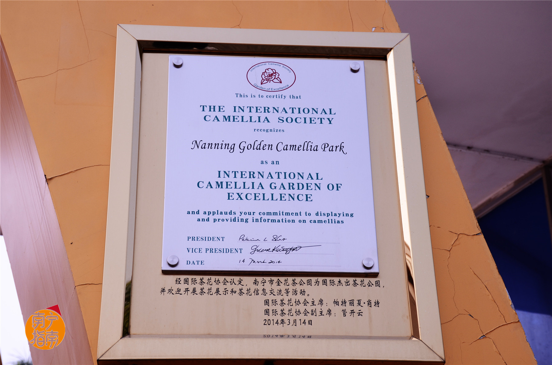 金花茶公园在什么地方,金花茶公园最新消息