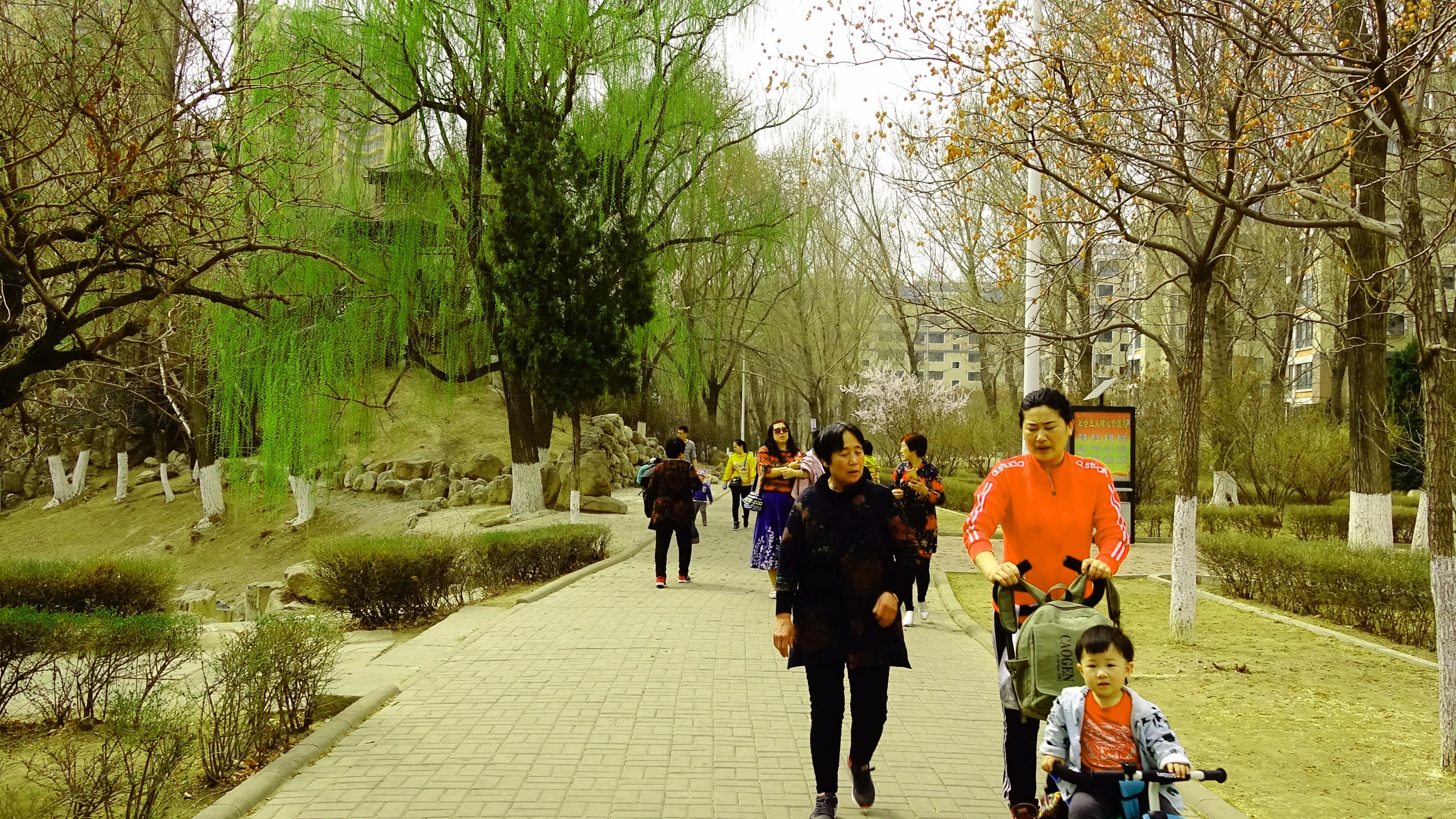 凌源春天,朝阳凌源公园