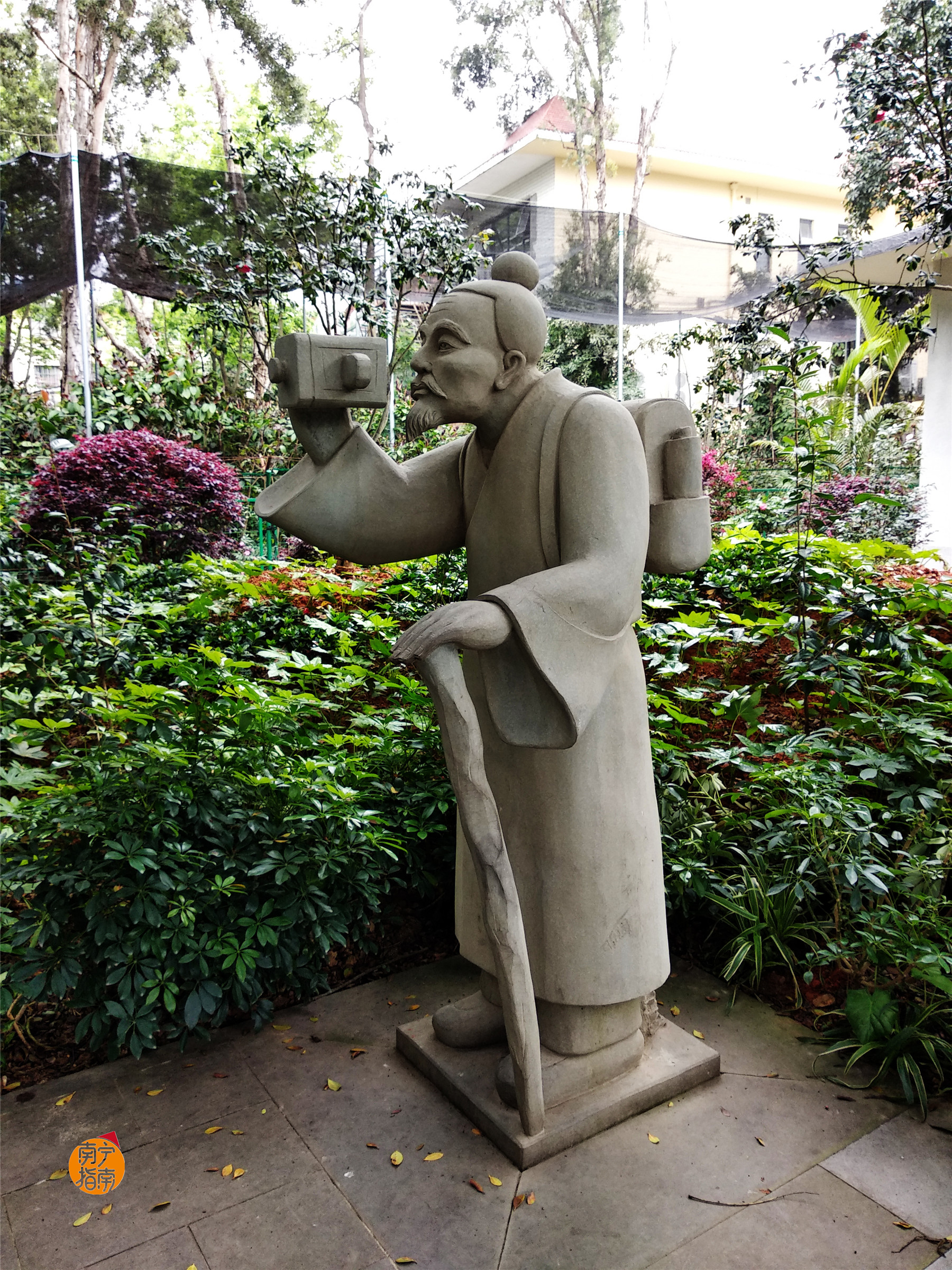 金花茶公园景点,走进金花茶公园