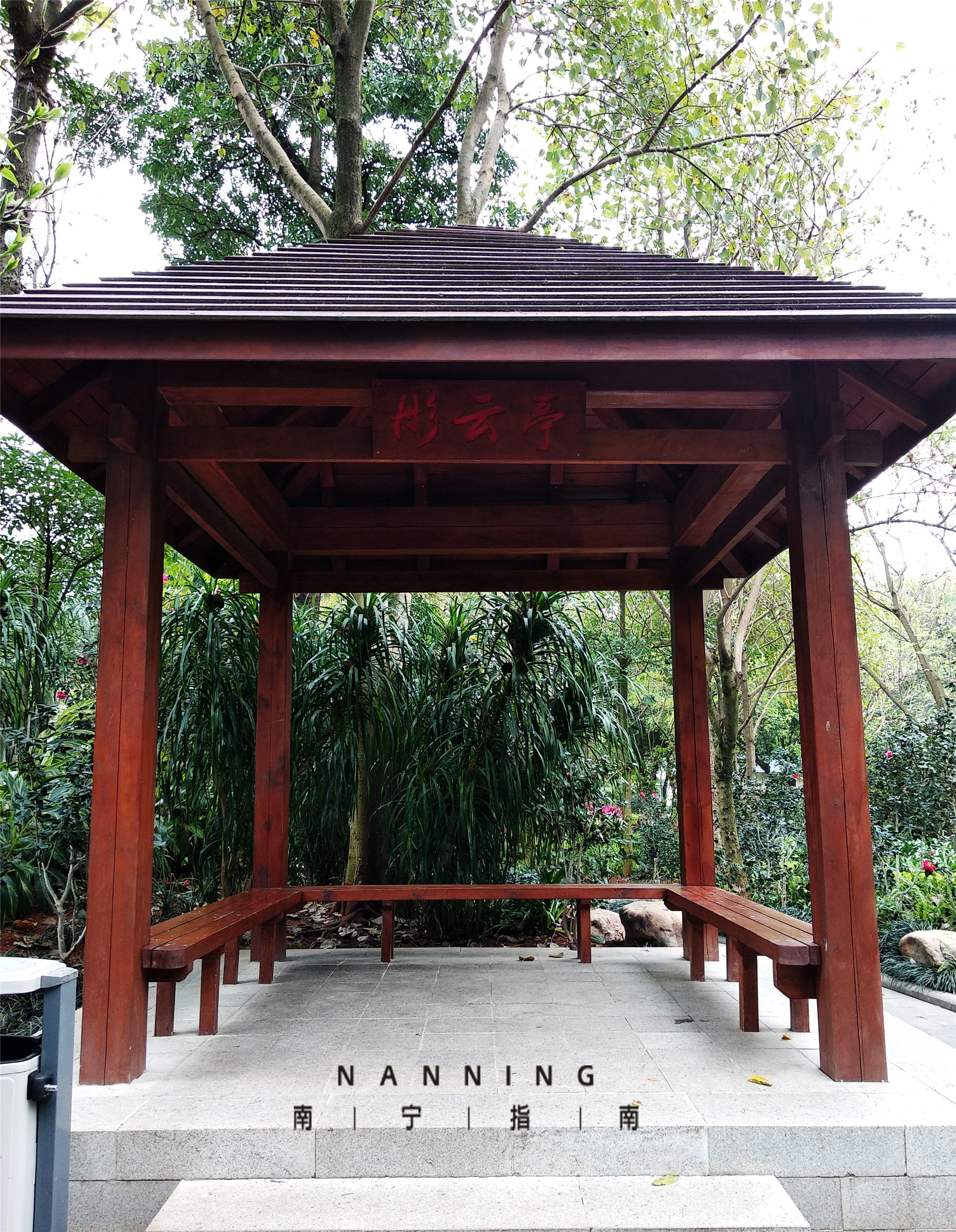 金花茶公园景点,走进金花茶公园