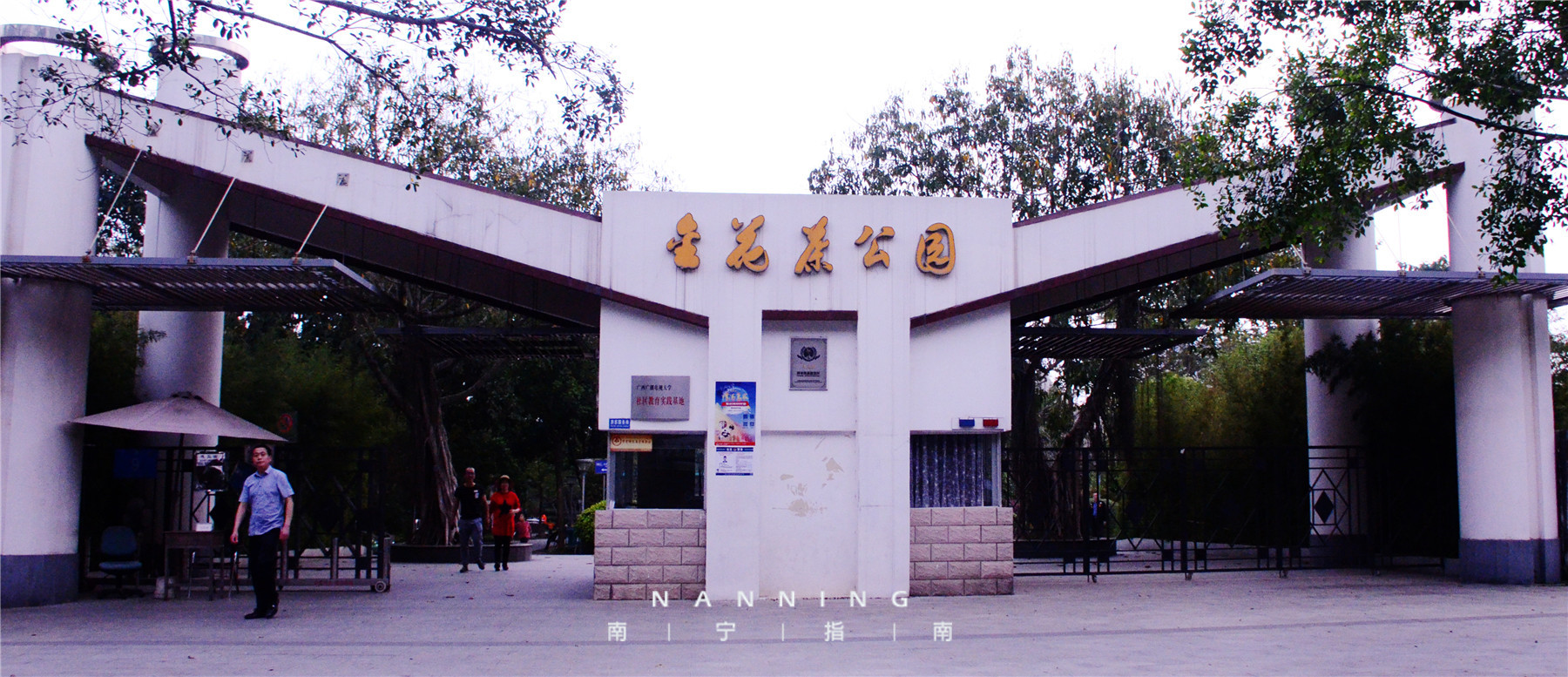 金花茶公园在什么地方,金花茶公园最新消息