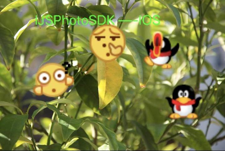 iOS如何实现图片和视频的涂鸦、贴图、马赛克、高斯笔涂鸦等技术