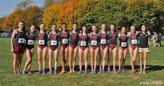 国际名校掐架，拿手的不只是学术，还有肢体……