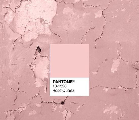 2018干枯玫瑰红,2018很火的发色