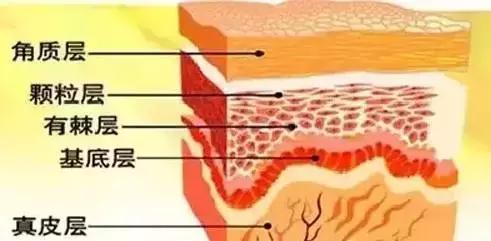 安瓶精华水和普通水及精华的区别,安瓶和精华区别