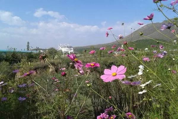 太原高速公路自驾游攻略,从太原自驾游攻略最全最好的线路