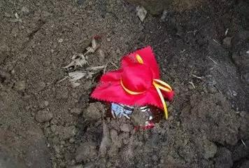 海南宝藏级美酒,海南美酒