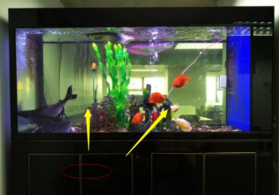 客厅财位的旺财布局宜忌,家中财位有什么禁忌和讲究