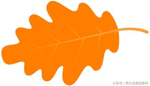 巴塞尔公约专家带您一文了解废荧光灯管的收集、运输、处理及处置